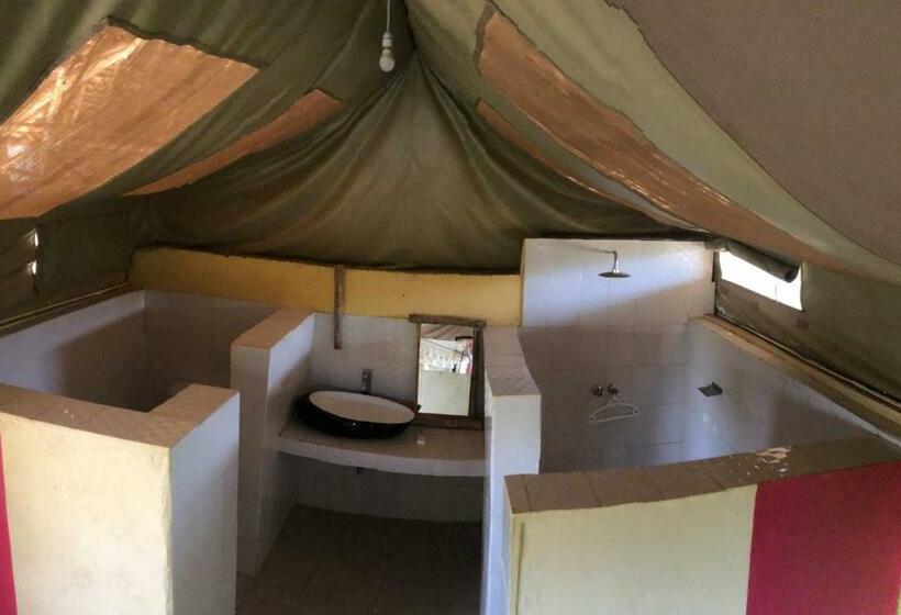 اتاق لوکس, Explore Mara Camp