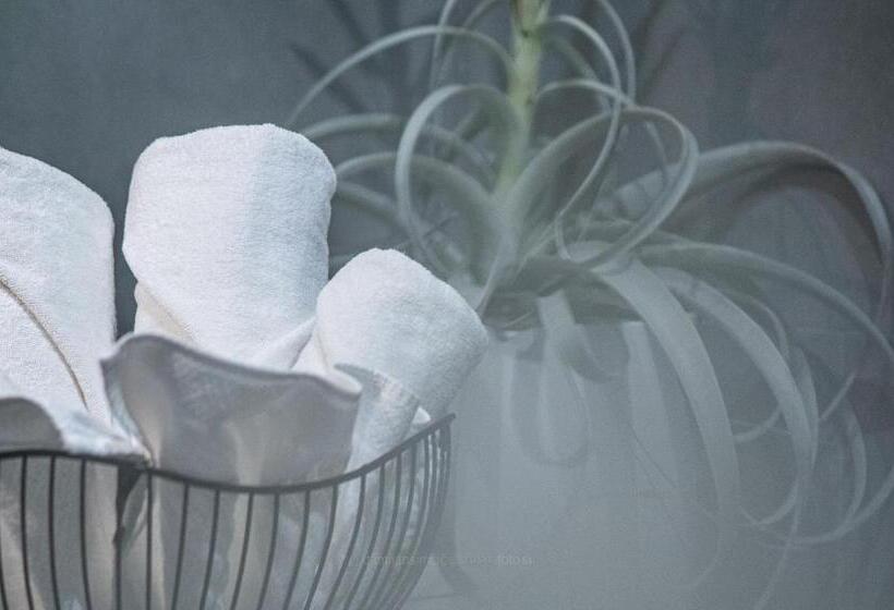 اتاق سوپریور, Vila Vipolže   Rooms & J. Suites