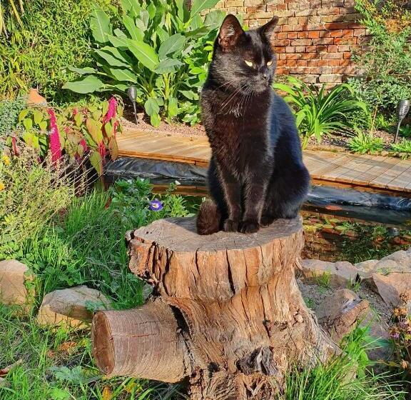 غرفة ديلوكس, Chambre D Hôtes Le Relais De Belloy