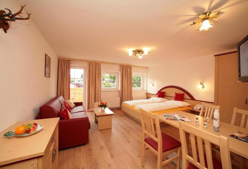 آپارتمان 1 خوابه, Aparthotel Waidmannsheil