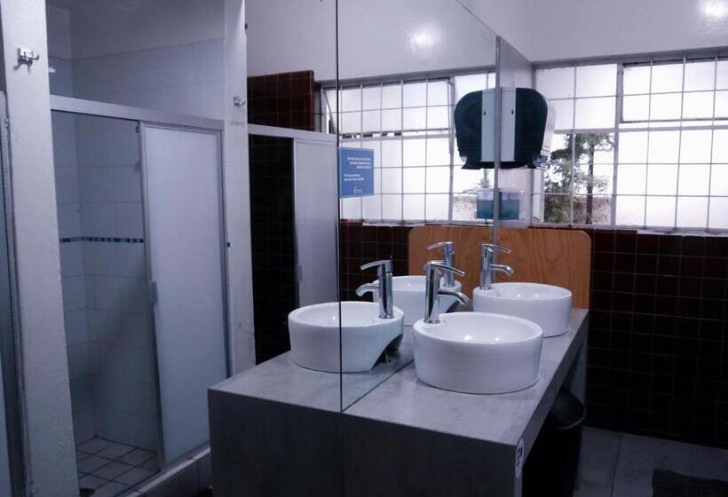 Chambre Standard Salle de Bains Commune, Hostel Hospedarte Chapultepec