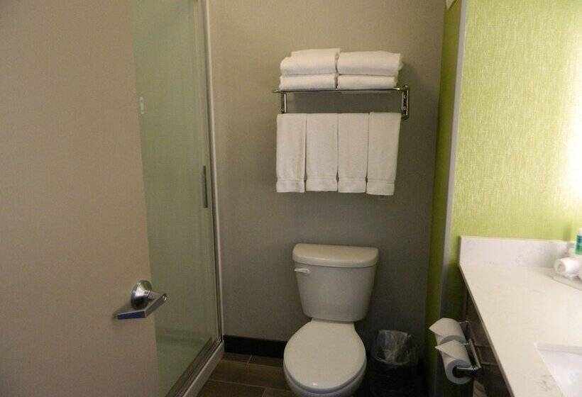 Номер Стандарт, Holiday Inn Express & Suites Shippensburg, An Ihg