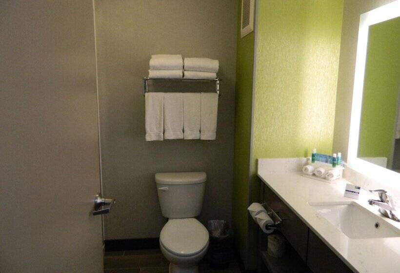 Люкс, Holiday Inn Express & Suites Shippensburg, An Ihg