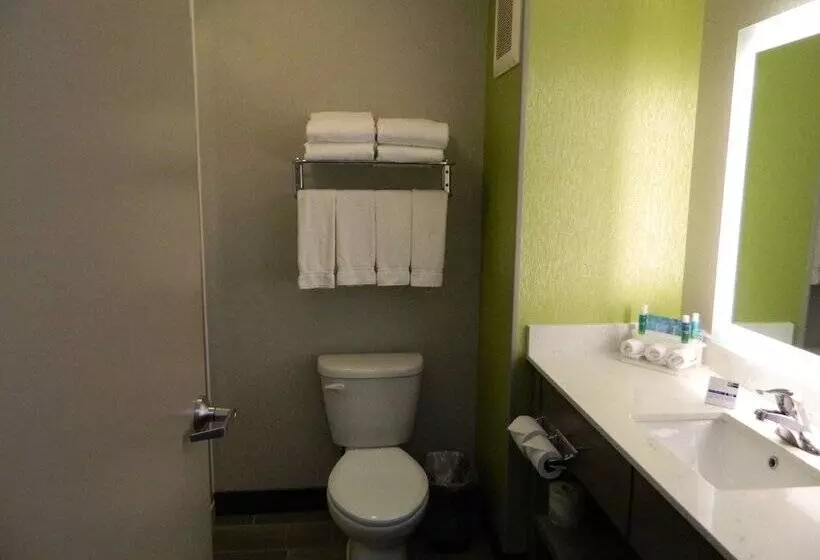 スイート, Holiday Inn Express & Suites Shippensburg, An Ihg
