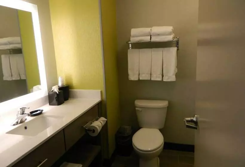 スイート, Holiday Inn Express & Suites Shippensburg, An Ihg