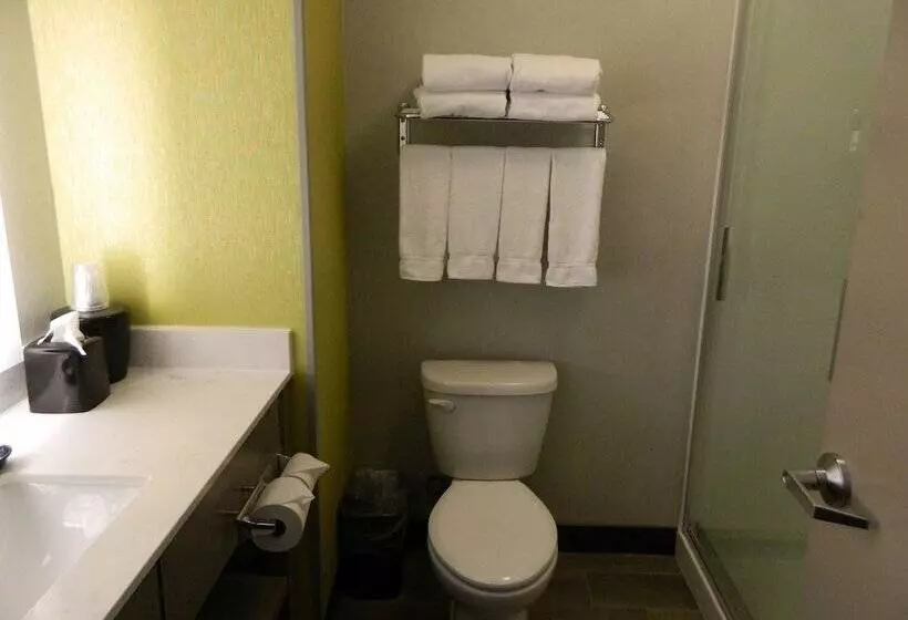 スイート, Holiday Inn Express & Suites Shippensburg, An Ihg