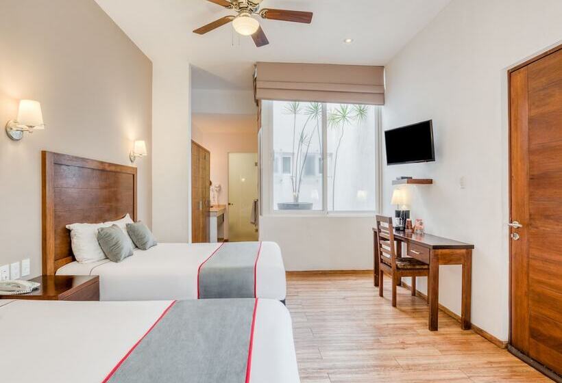 اتاق سوپریور, Quinta Allende