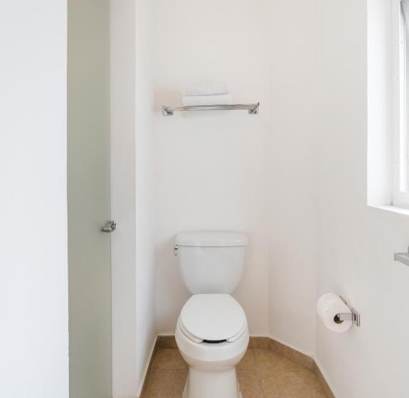 اتاق سوپریور, Quinta Allende