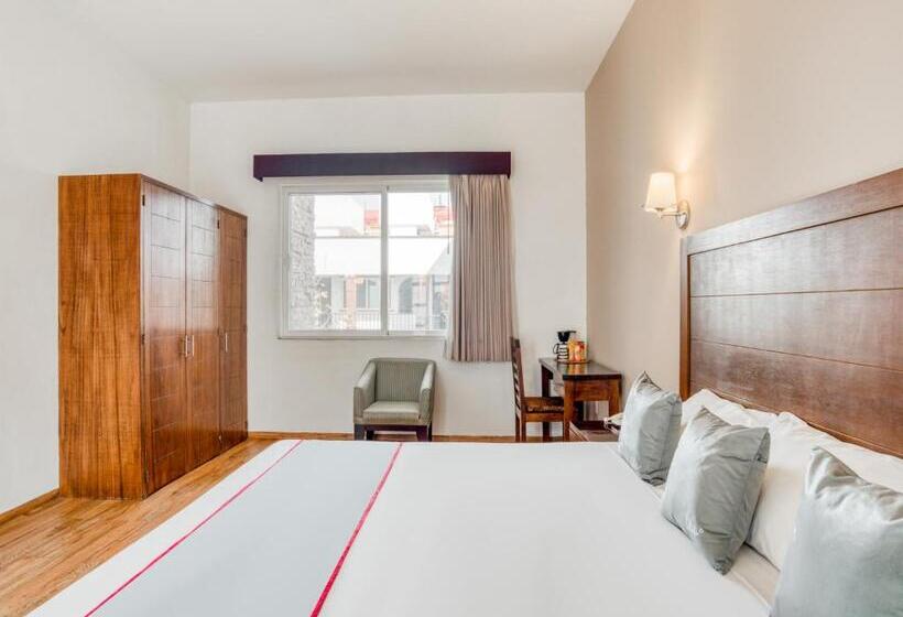 اتاق سوپریور, Quinta Allende