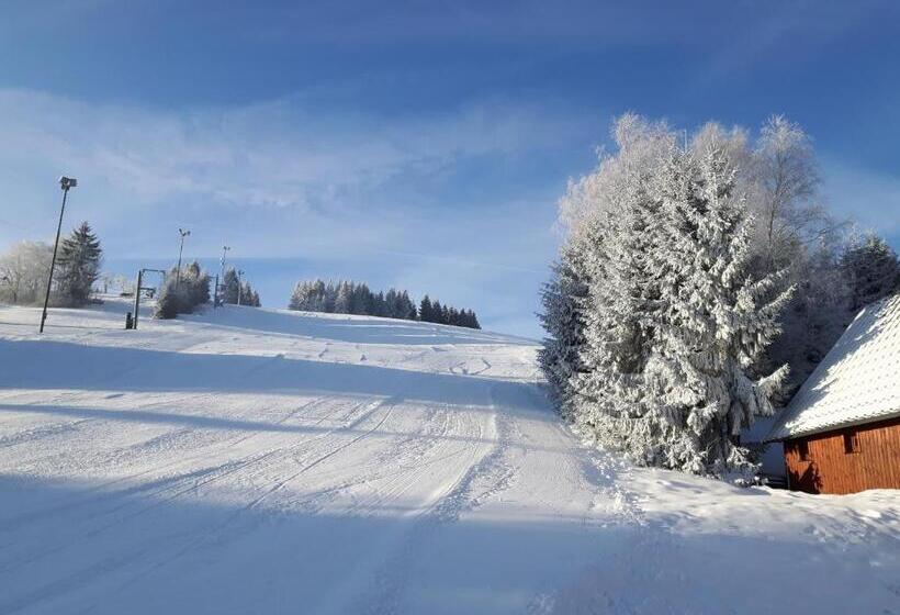 اتاق استاندارد, Horská Chata Hubert