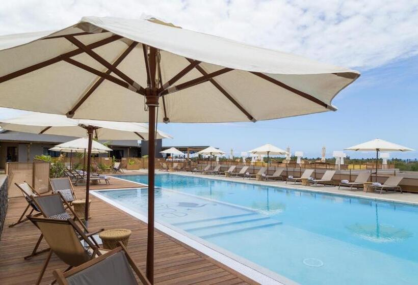 غرفة قياسية, Dina Morgabine Saint Gilles