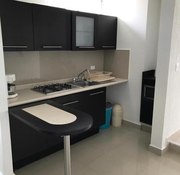 Apartamento 1 Dormitório, Grupo Kings Suites Magnolia