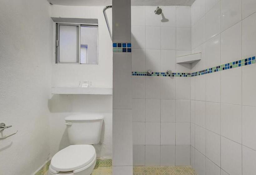 Номер Стандарт, Meson Del Rio Posada Mexiquense