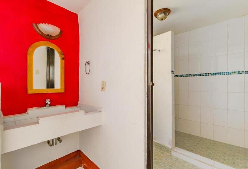 Номер Стандарт, Meson Del Rio Posada Mexiquense