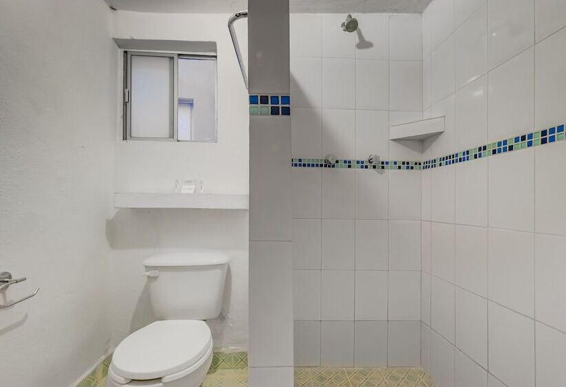 Номер Стандарт, Meson Del Rio Posada Mexiquense