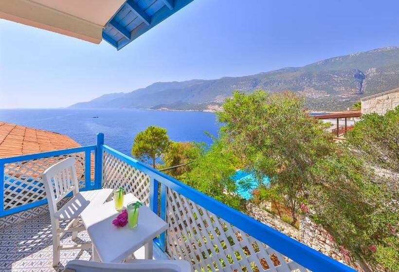 Camera Standard con Balcone, Arpia