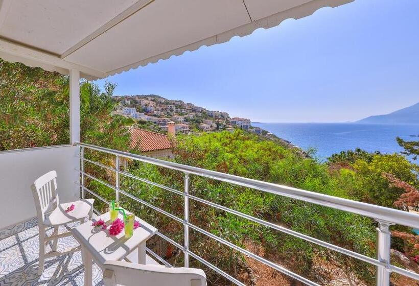 Camera Standard Vista Mare, Arpia