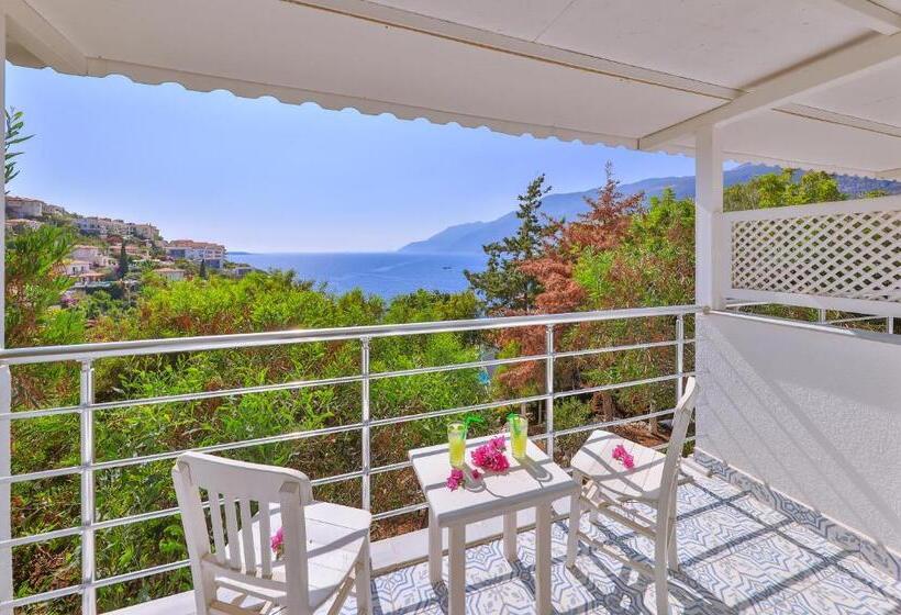 Camera Standard Vista Mare, Arpia