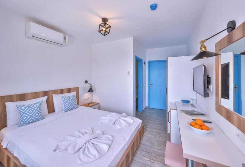 Camera Standard Vista Mare, Arpia