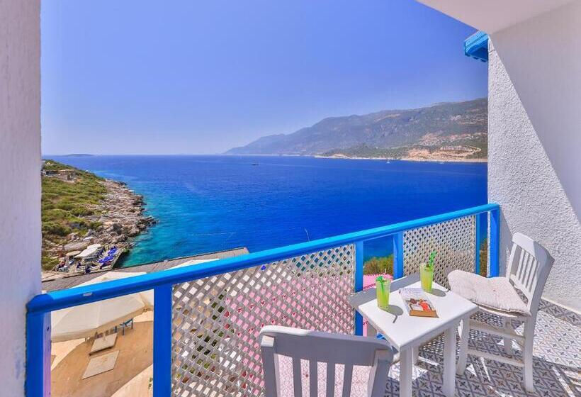 Camera Standard Vista Mare, Arpia