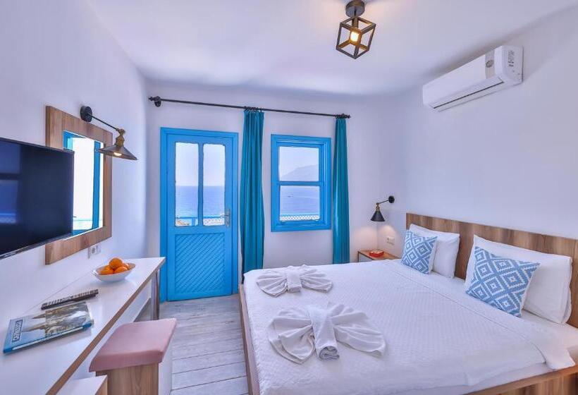 Camera Standard Vista Mare, Arpia