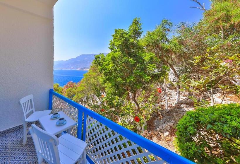 Camera Standard, Arpia