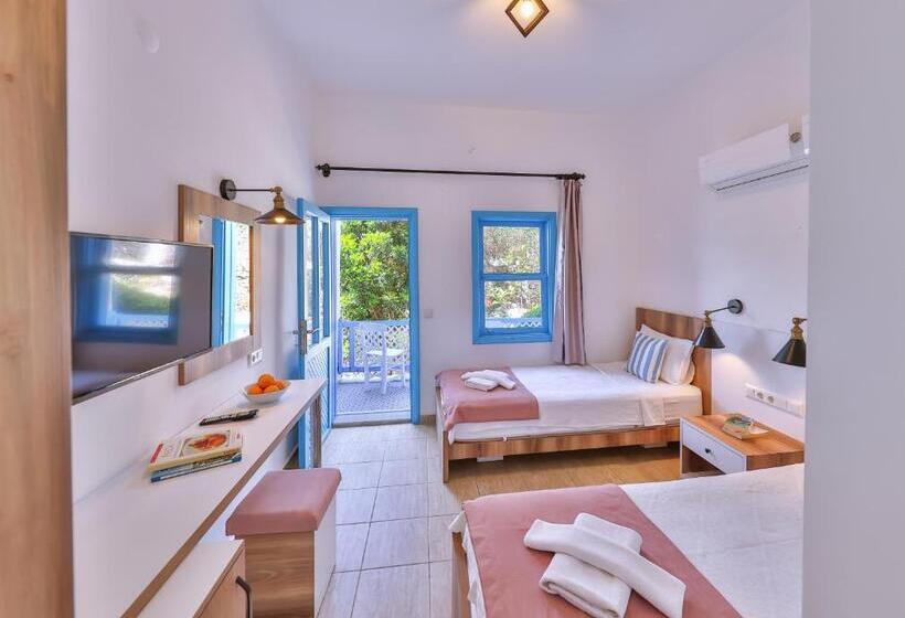 Camera Standard, Arpia