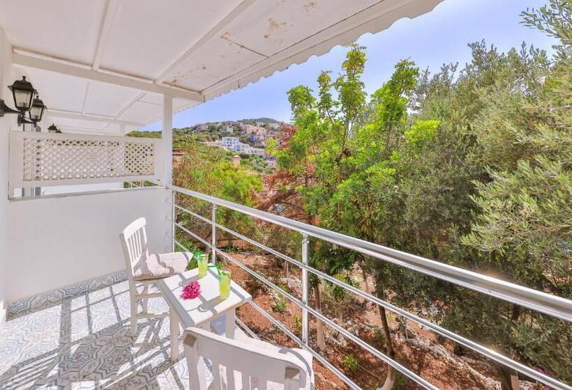 Camera Standard Vista Giardino, Arpia