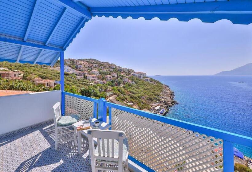 Camera Deluxe Letto King, Arpia