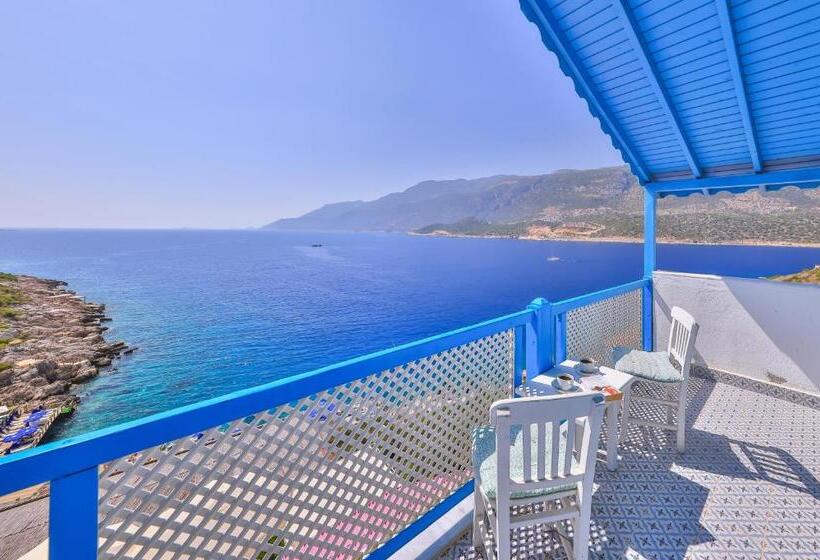 Camera Deluxe Letto King, Arpia