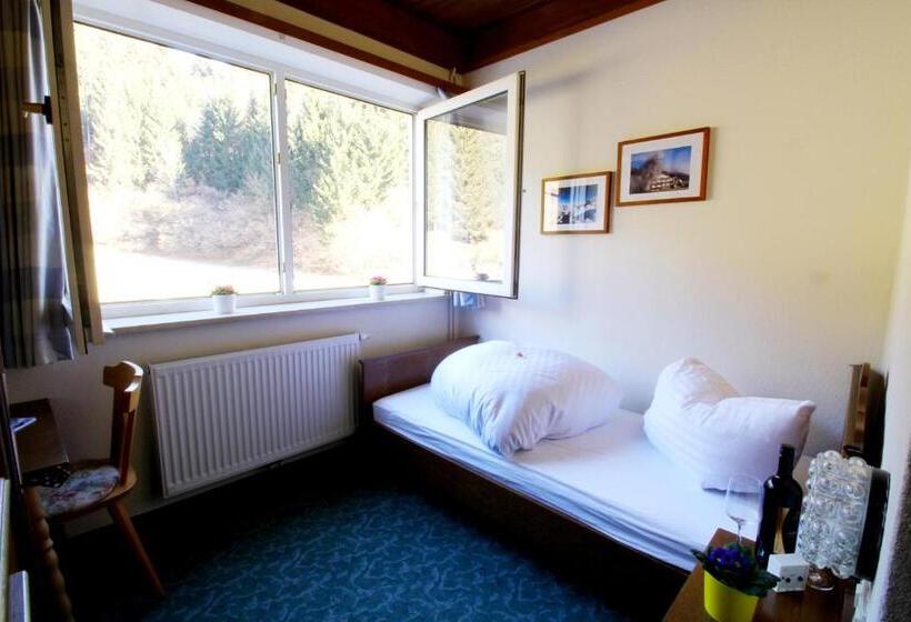 חדר סטנדרט יחיד, Sonnleitn