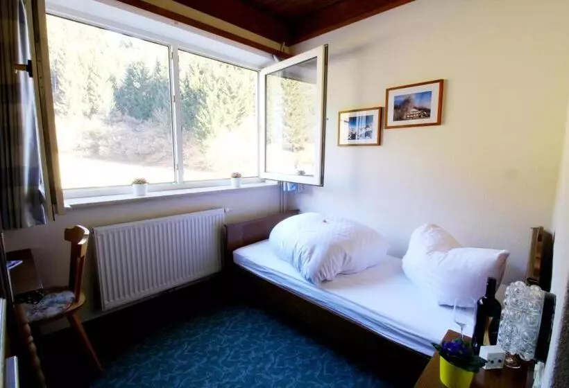 Standard Yhden Hengen Huone, Sonnleitn