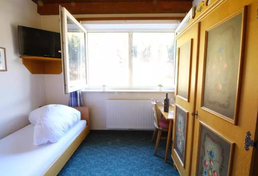 Standard Yhden Hengen Huone, Sonnleitn
