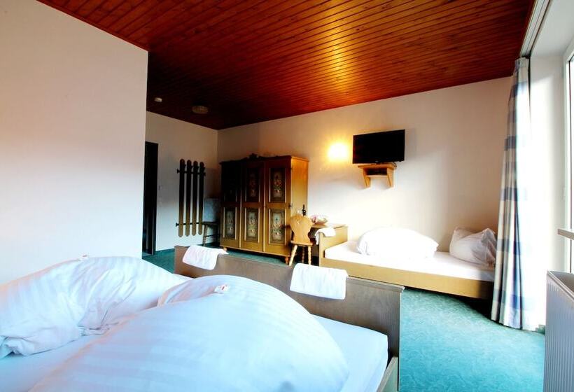 חדר משפחתי נוף להרים, Sonnleitn