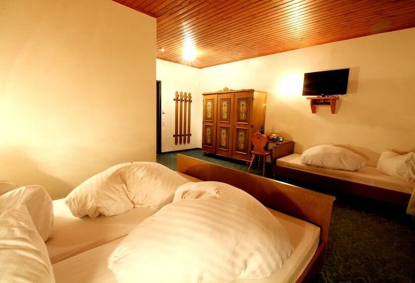 חדר משפחתי נוף להרים, Sonnleitn