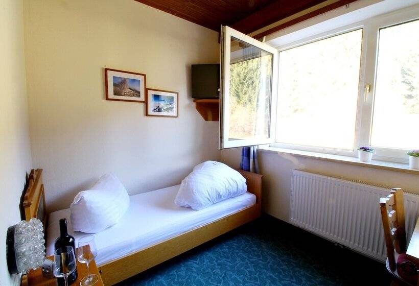 חדר סטנדרט יחיד, Sonnleitn