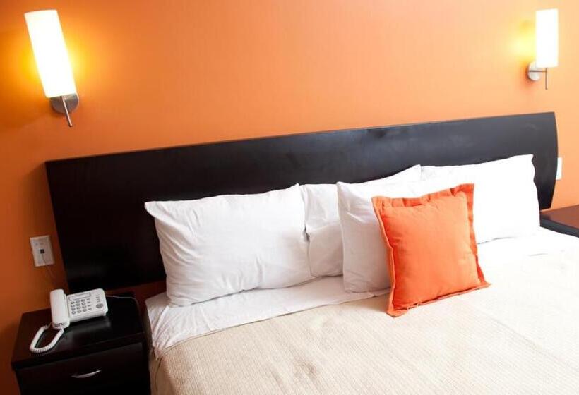 스탠다드 룸 킹사이즈 침대, Baez Paraiso