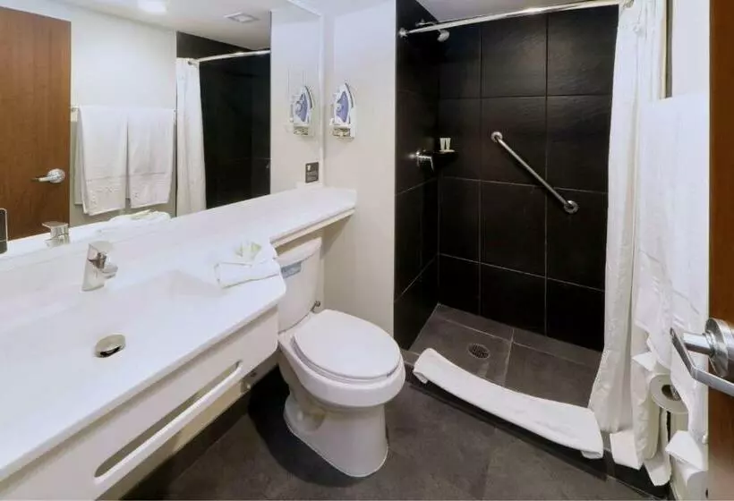 スタンダードルーム, City Express Plus By Marriott Monterrey Nuevo Sur