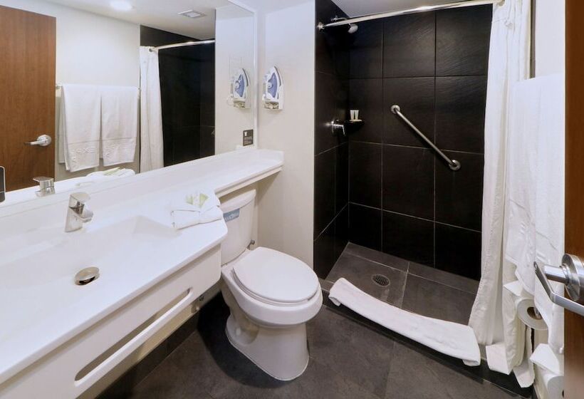 חדר סטנדרט שתי מיטות זוגיות, City Express Plus By Marriott Monterrey Nuevo Sur