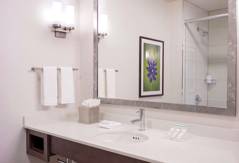 Номер Стандарт 2 Двуспальные Кровати, Hilton Garden Inn Downtown Dallas