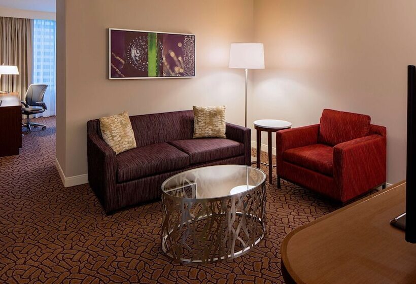 Полулюкс, Hilton Garden Inn Downtown Dallas