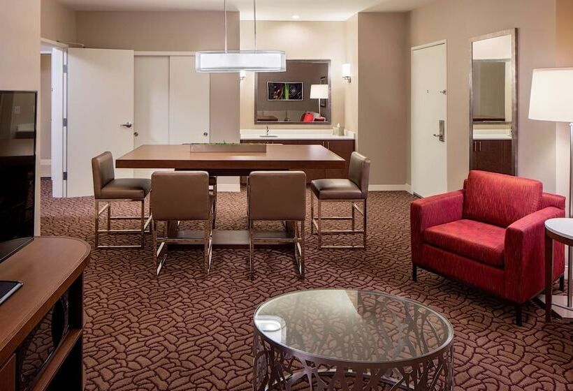 Полулюкс, Hilton Garden Inn Downtown Dallas