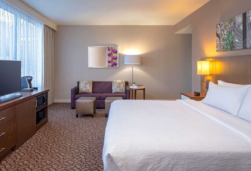 Полулюкс, Hilton Garden Inn Downtown Dallas