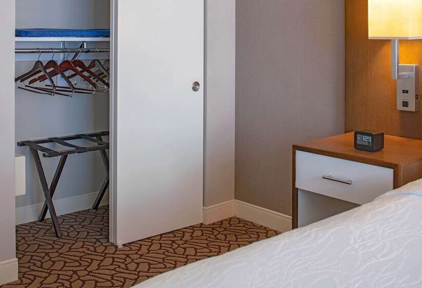 Номер Стандарт 2 Двуспальные Кровати, Hilton Garden Inn Downtown Dallas