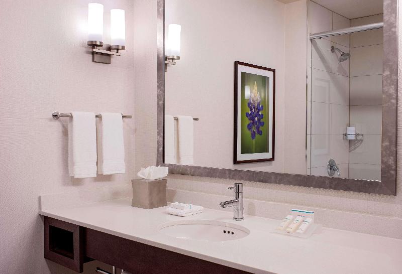 Стандартный Номер Кровать Кинг, Hilton Garden Inn Downtown Dallas