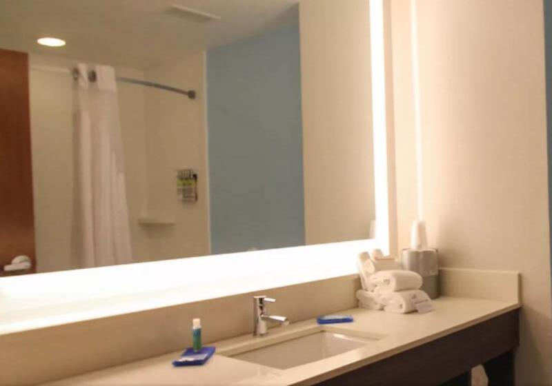 Номер Стандарт, Hilton Garden Inn Downtown Dallas