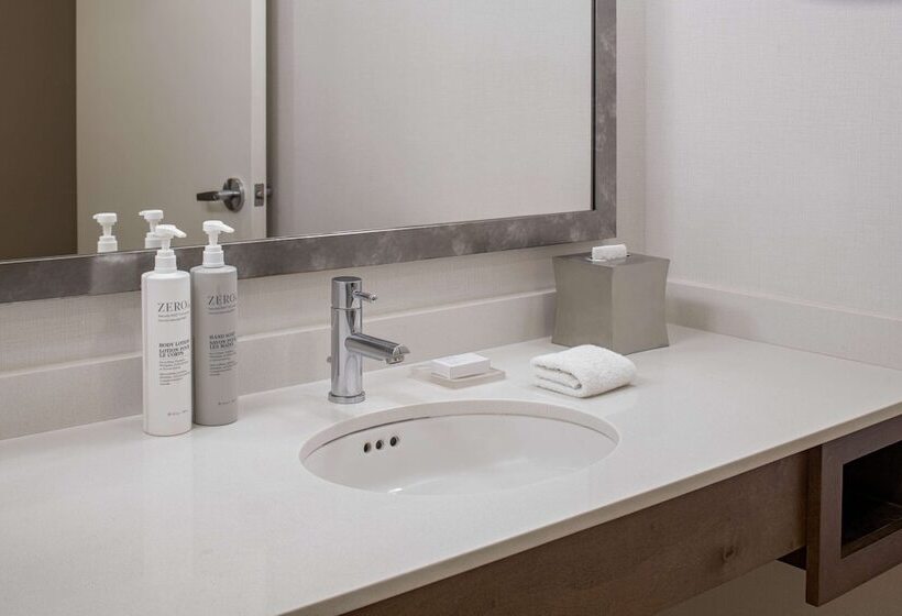 חדר סטנדרט שתי מיטות זוגיות, Hilton Garden Inn Downtown Dallas