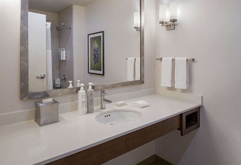 Номер Стандарт 2 Двуспальные Кровати, Hilton Garden Inn Downtown Dallas