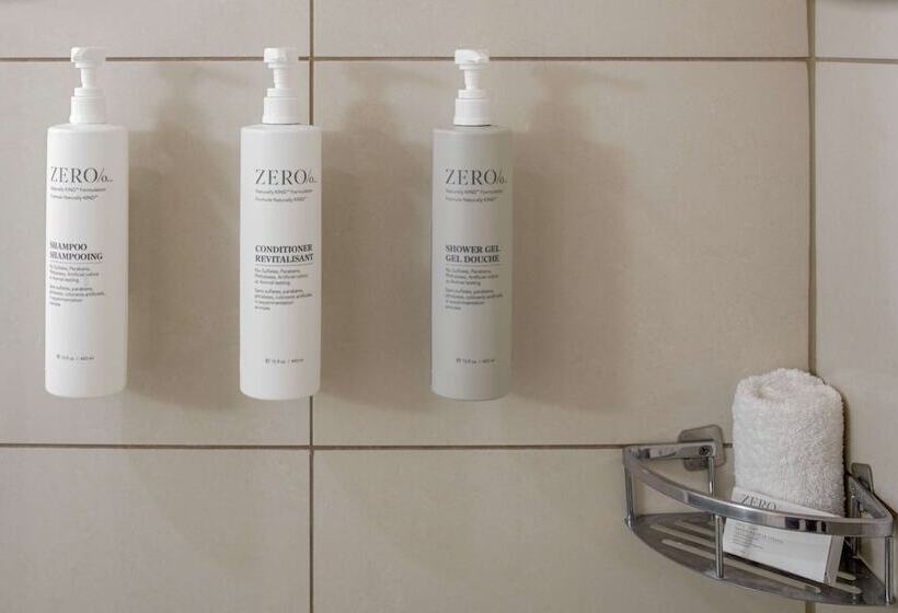 Номер Стандарт 2 Двуспальные Кровати, Hilton Garden Inn Downtown Dallas