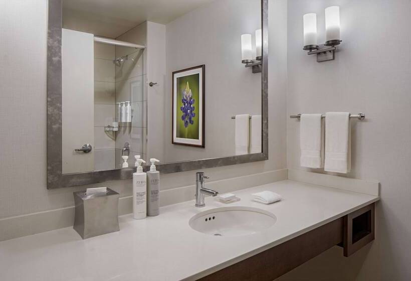 Номер Deluxe, Hilton Garden Inn Downtown Dallas